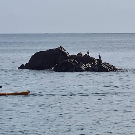 Calella דירה קאלייה דה פאלאפרוג'ל
